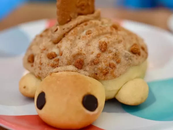 Tortuconcha en Ciudad Granja